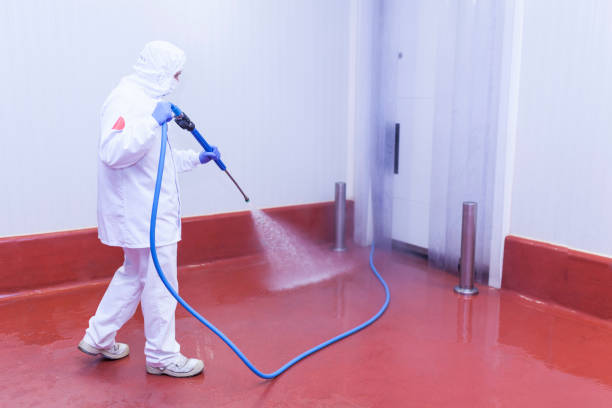 Best Residential Exterior Washing  in Churchill, MT